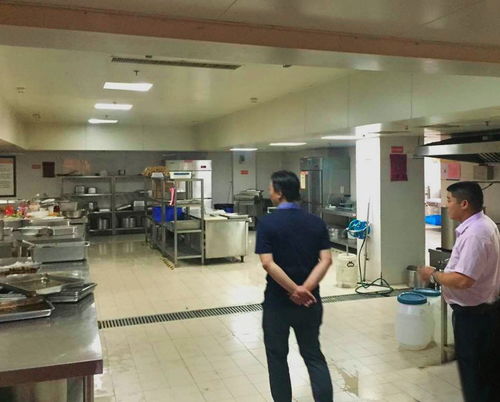 伙管會(huì)攜手企業(yè)代表赴2.5產(chǎn)業(yè)園餐廳開展后勤服務(wù)保障專項(xiàng)調(diào)研